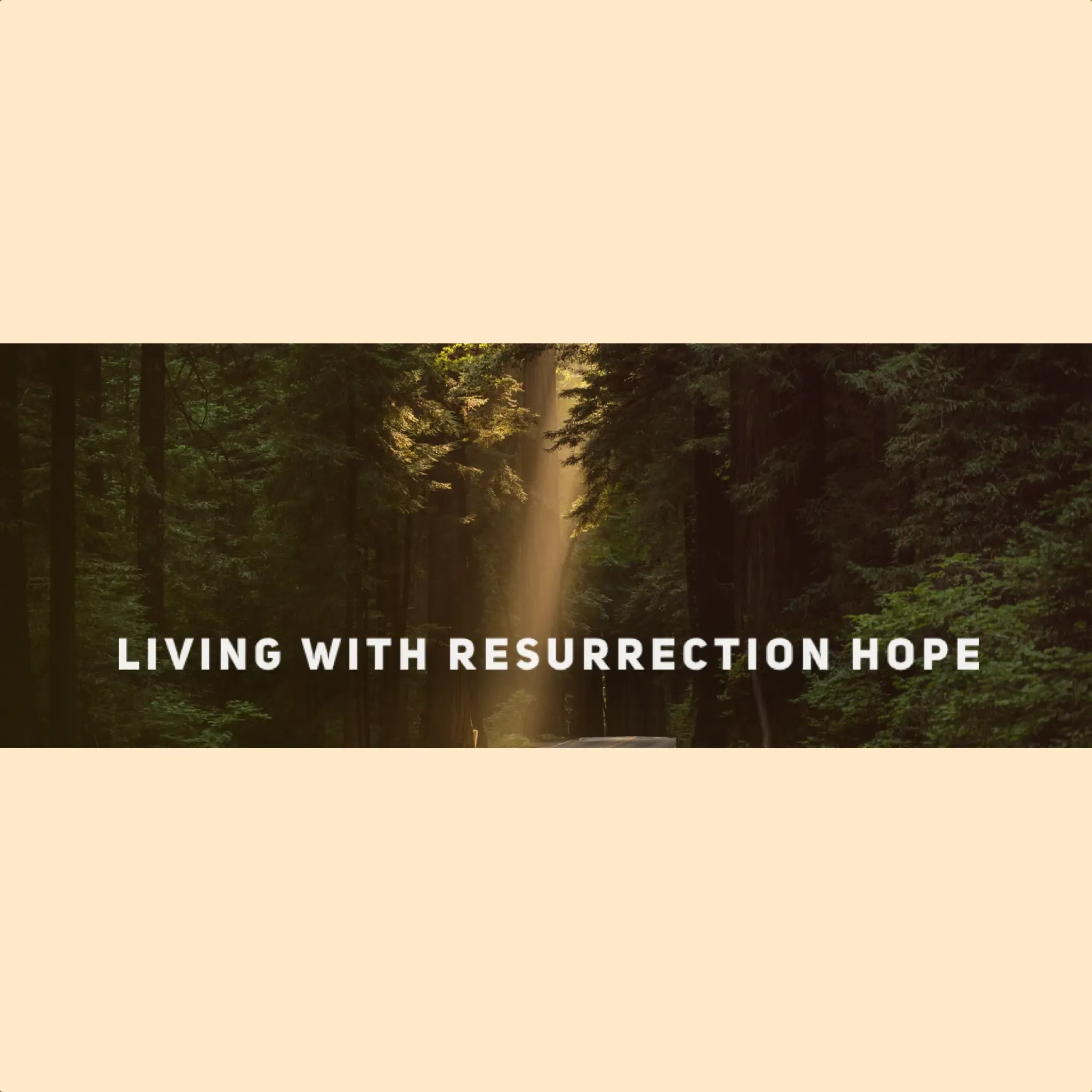 image for sermon series 1 Corinthians 15: Living with Resurrection Hope