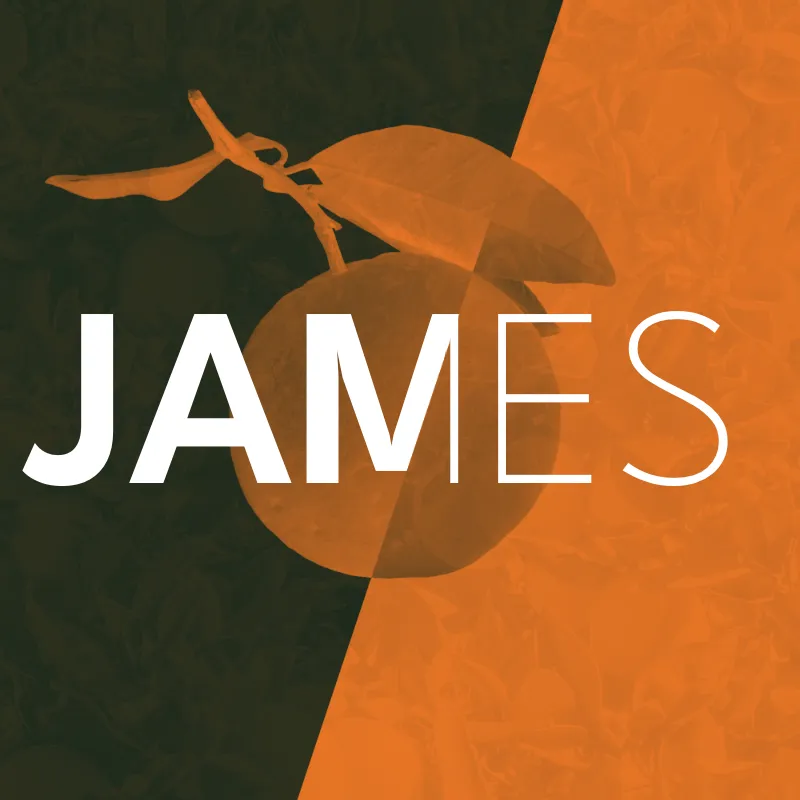 image for sermon series James: Whole Faith