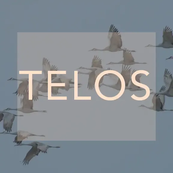 image for sermon series Telos